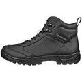 Randonn&eacute;e sur Grenoble : Chaussures Ecco Xpedition Iii Noir