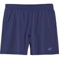 Shorts/Bermuda sur Grenoble : Short 4F M0912