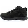 Baskets basses Timberland TB0A69KC015