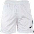 Shorts/Bermuda sur Grenoble : Short Nike 459162100