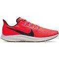 Chaussures Nike Air Zoom Pegasus 36 Grenoble