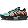 Baskets basses Nike Air Max Plus