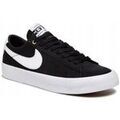 Baskets homme sur Grenoble : Baskets basses Nike SB Zoom Blazer Low Pro GT