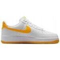 Baskets homme sur Grenoble : Baskets basses Nike FJ4146105