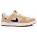 Baskets basses Nike SB Alleyoop