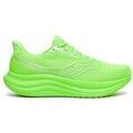 Running sur Grenoble : Chaussures Saucony Triumph 23