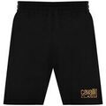 Shorts/Bermuda sur Grenoble : Short Roberto Cavalli D001059B001 Dor&eacute;