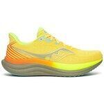 Chaussures Saucony Triumph 23