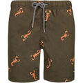 Maillots de bain sur Grenoble : Maillots de bain Shiwi Short de Bain Scorpion Vert Fonc&eacute; Vert