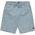 Shorts/Bermuda sur Grenoble : Short Billabong Larry 20"