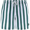 Maillots de bain sur Grenoble : Maillots de bain Shiwi Short de Bain Mac Vert Fonc&eacute; Vert