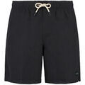 Maillots de bain sur Grenoble : Maillots de bain Shiwi Short de Bain Mike Noir