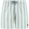 Maillots de bain Shiwi Short de Bain Mac Vert Clair