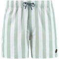 Maillots de bain Shiwi Short de Bain Mac Vert Clair Grenoble