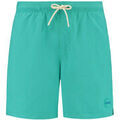 Maillots de bain sur Grenoble : Maillots de bain Shiwi Short de Bain Mike Vert