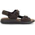 Sandales / Nu-pieds homme sur Grenoble : Sandales Rieker RKR971