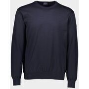 Pull Paul & Shark C0P1040