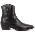 Bottes femme sur Grenoble : Bottines Alpe 2548