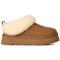 Chaussons / Pantoufles sur Grenoble : Chaussons UGG 1171393 TAZZELLE