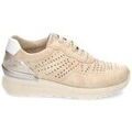 Baskets basses Amarpies AMD30002 Grenoble