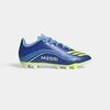Chaussures de foot adidas F50 Club FG/MG Messi Vis10n Pack (Kids)