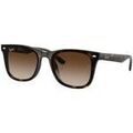 Lunettes sur Grenoble : Lunettes de soleil Ray-ban UNISEX 0RB4420 710/13