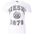 Tee-shirts sur Grenoble : T-shirt Diesel Diegor1