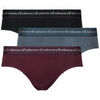 Slips Eminence BUSINESS Pack de 3 Multicolore