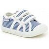 Baskets enfant Tartine Et Chocolat BASKETS TOILE T 14 EASY