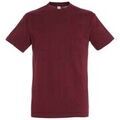 Tee-shirts sur Grenoble : T-shirt Sols Regent