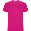 Tee-shirts sur Grenoble : T-shirt Roly Stafford
