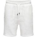 Shorts/Bermuda sur Grenoble : Short Only & Sons Bertil