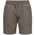 Shorts/Bermuda sur Grenoble : Short Only & Sons Bertil