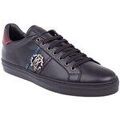 Baskets homme sur Grenoble : Baskets basses Roberto Cavalli 5247C