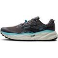 Running sur Grenoble : Chaussures Brooks Cascadia 19