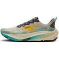 Running sur Grenoble : Chaussures Brooks Ghost Trail