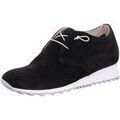 Ville basse Donna Carolina -