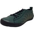 Running sur Grenoble : Chaussures Beauties Of Nature -