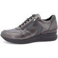 Chaussures Piesanto 255705 Marron Grenoble