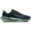 Running sur Grenoble : Chaussures Nike HM9734302