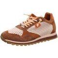 Baskets basses Cetti -