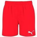 Short Puma 93508802