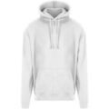 Vestes sur Grenoble : Veste Prortx RX350