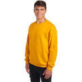 Sweat-shirt Jerzees Colours 0S562M0