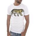 Tee-shirts sur Grenoble : T-shirt Goldenim Paris T-S manches courtes--H-1459
