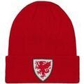 Bonnet Fa Wales GF100