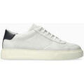 Baskets homme sur Grenoble : Baskets basses Mephisto Baskets en cuir OLAF.P5149265