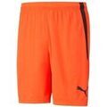 Shorts/Bermuda sur Grenoble : Short Puma TeamLiga