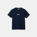Tee-shirts sur Grenoble : T-shirt Ellesse -