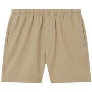 Short Champion 118636